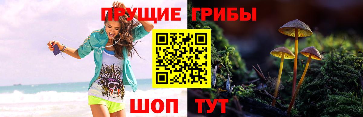 Галлюциногенные грибы GOLDEN TEACHER  Галлюциногенные грибы Cubensis  где купить наркоту  Вход с VPN  Кинель 